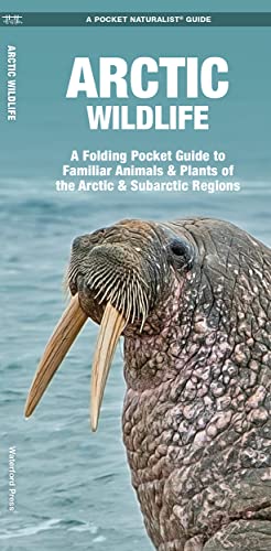 Arctic Wildlife: An Folding Pocket Guide to Familiar Animals & Plants of the Arctic & Subarctic Regions: An Introduction to Familiar Species (Pocket Naturalist Guide)